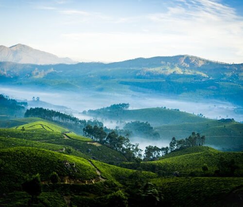 Kerala image