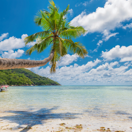 Goa image