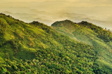 kerala