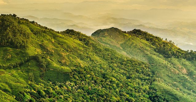 kerala