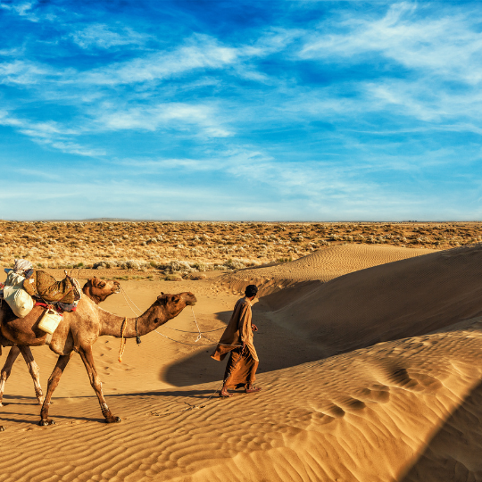 Rajasthan jaisalmer image