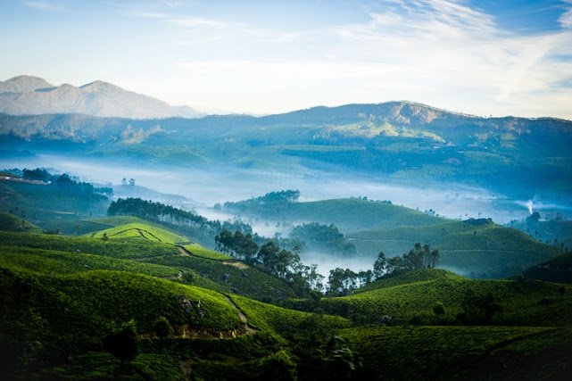 Plan Your Trip To Kerala With Your Family And Enjoy The Weather