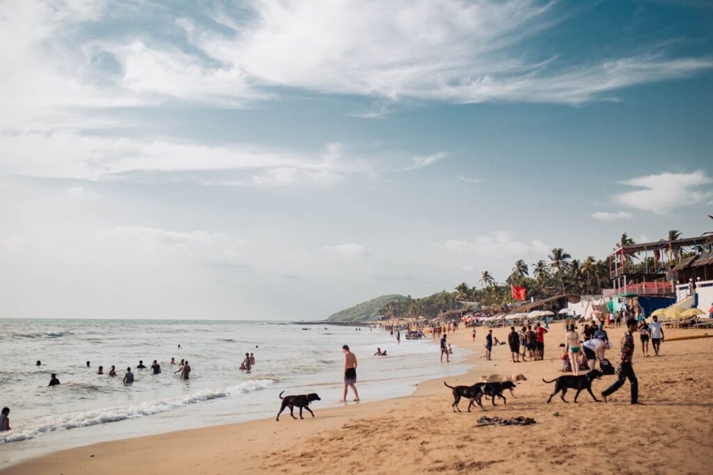 GOA