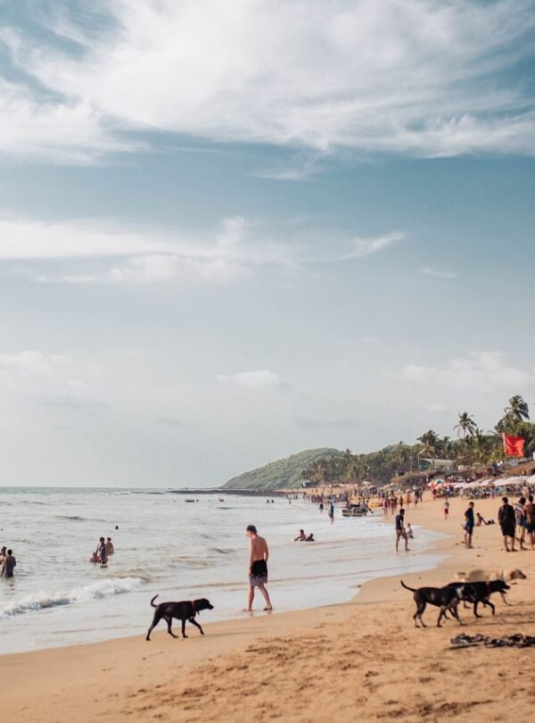 GOA