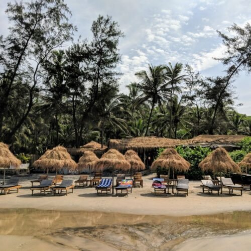 GOA3