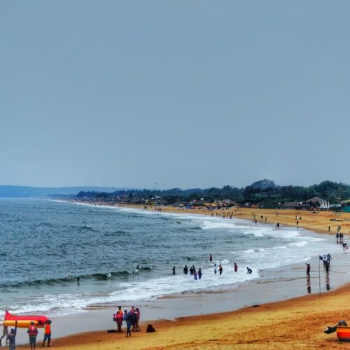 GOA2