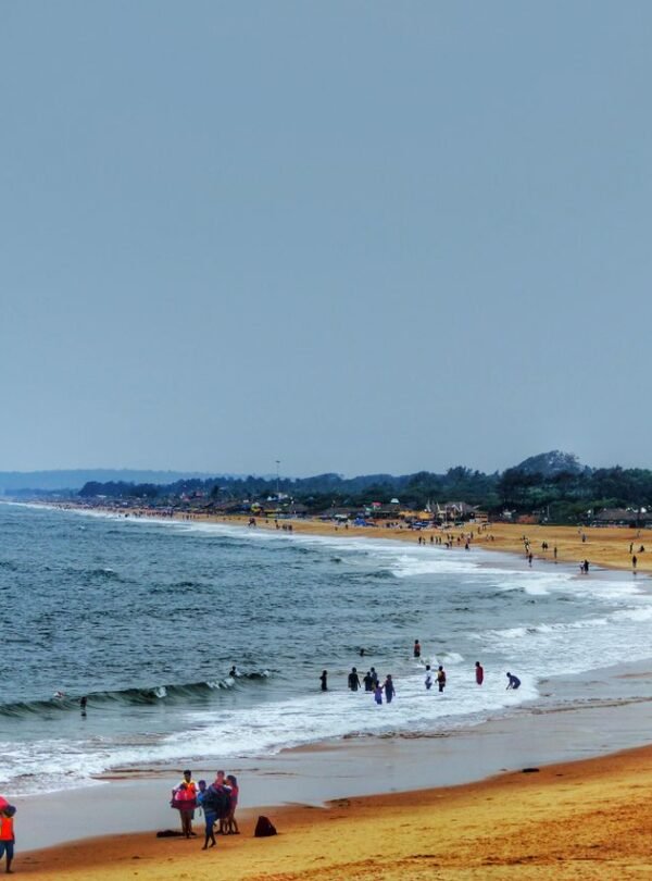 GOA2