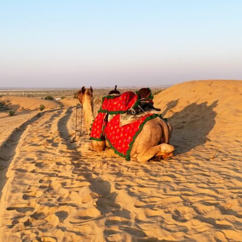 Jaisalmer image