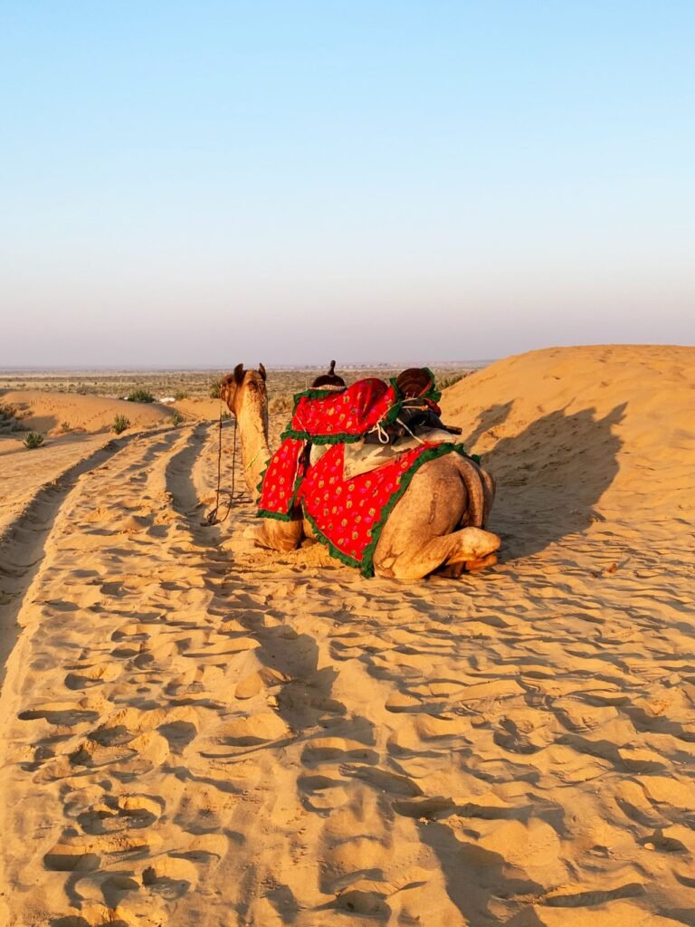 Jaisalmer image