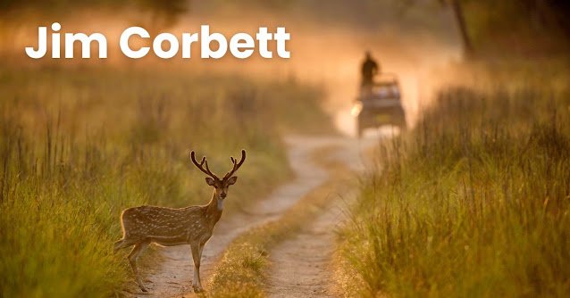Jim Corbett