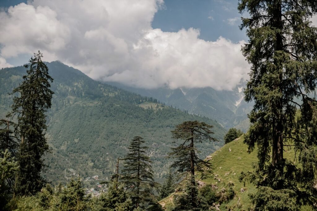 Manali image