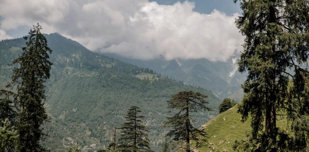 Manali image
