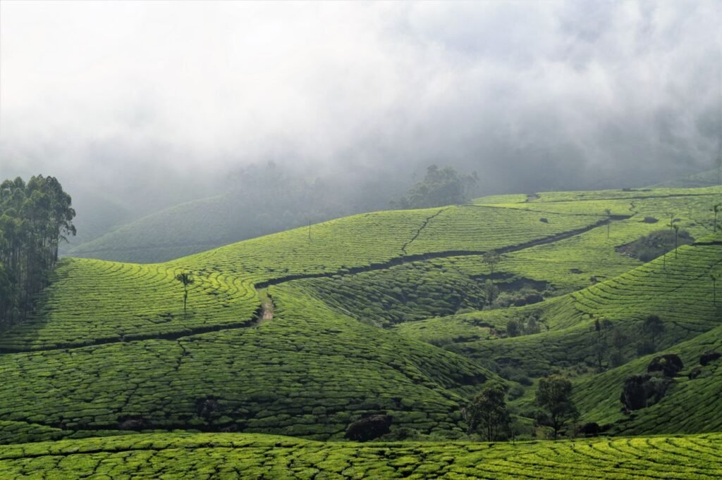 kerala image
