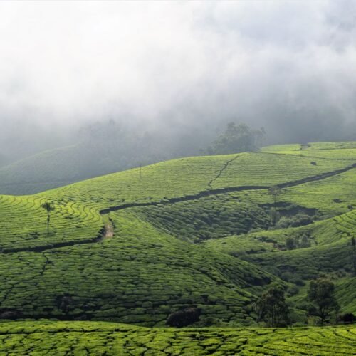 kerala image