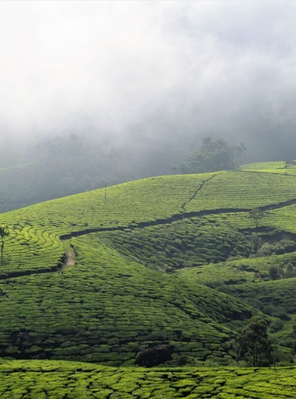 kerala image