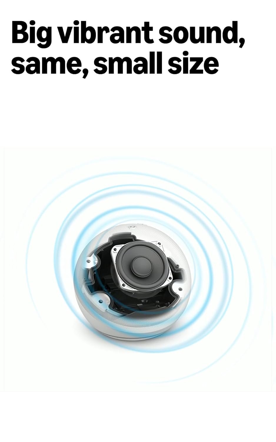 Alexa image inside