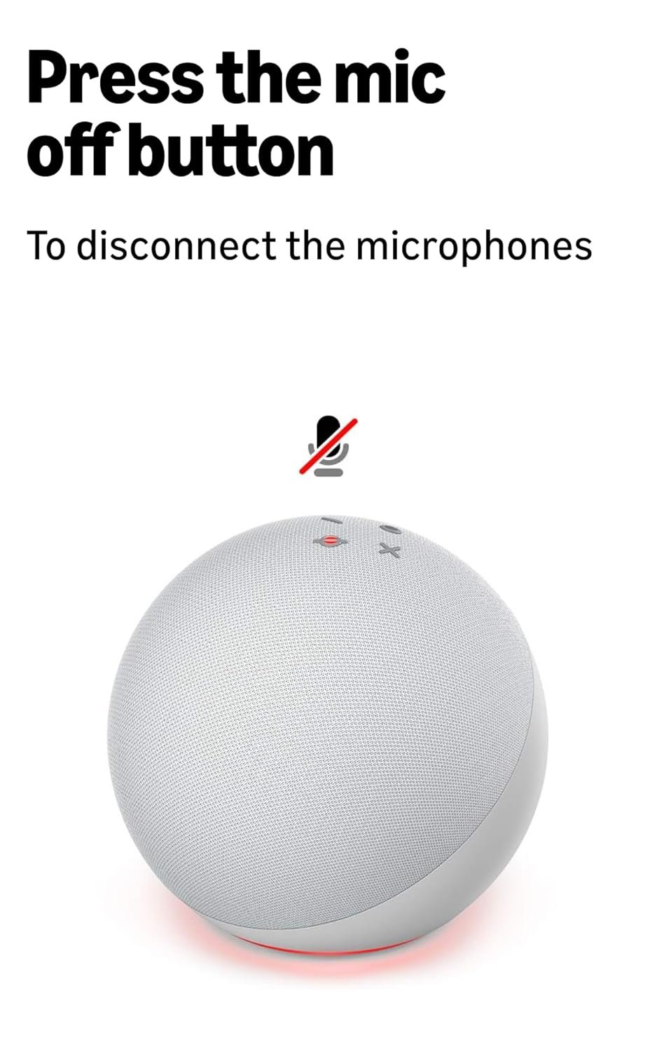 white alexa