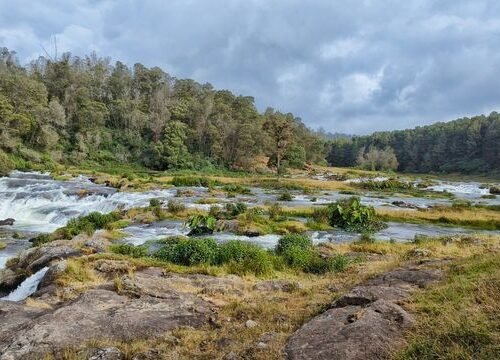 ooty image