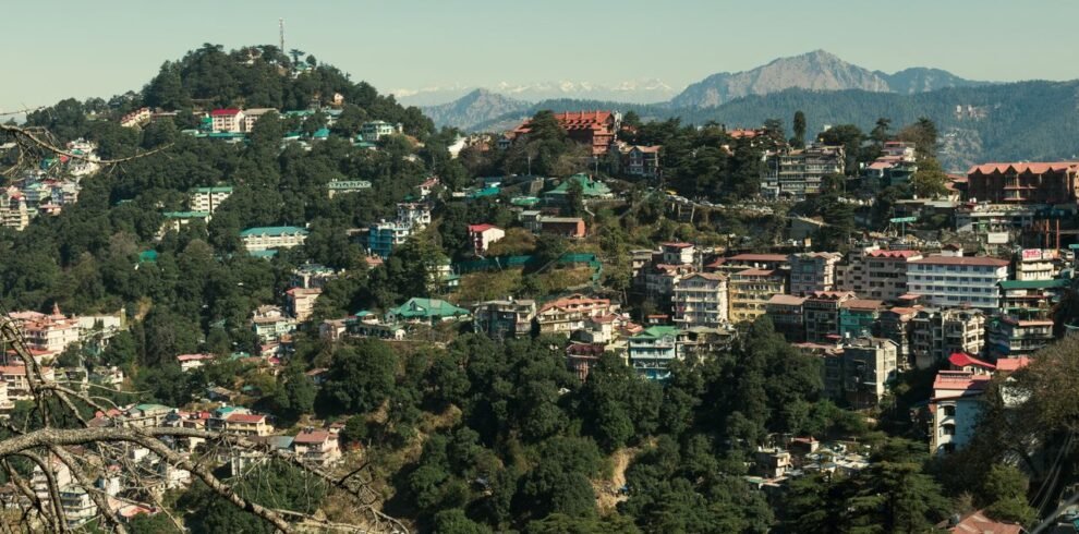 himachals