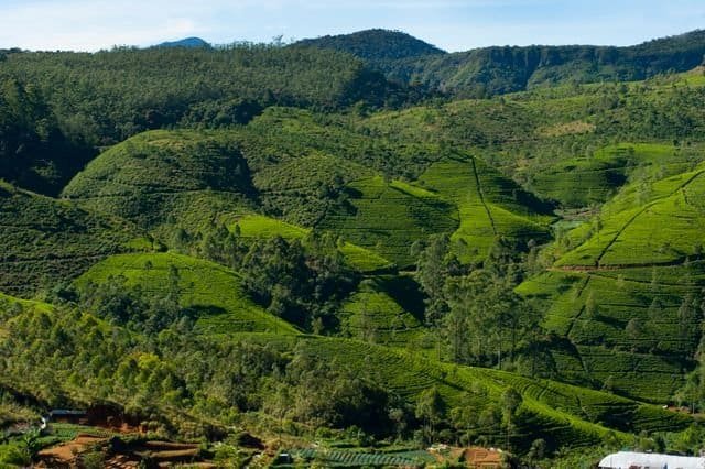sri lanka image