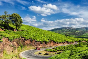 Wayanad image
