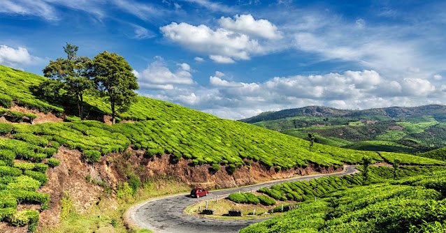 Wayanad image